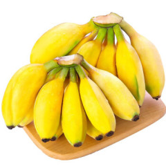 【龙华园区专享】米蕉一份  500g左右