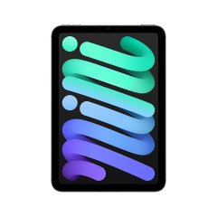 Apple/苹果 iPad mini (A17 Pro) 24新 款第7代  WLAN 平板电脑 深空灰色 128G