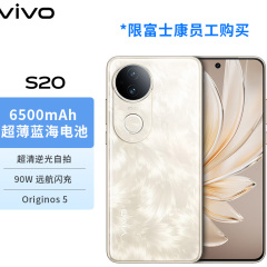 vivo S20 新品拍照手机 7.19mm超薄直屏 京东方护眼屏 前后5000万双柔光【内购】 玉露白 S20(12+256G)