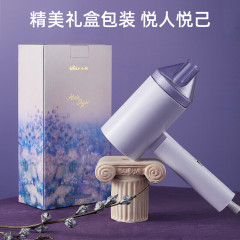 小熊（Bear） 电吹风机 电吹风家用大功率负离子不伤发 冷暖风磁吸风嘴可折叠 DCF-B16R1
