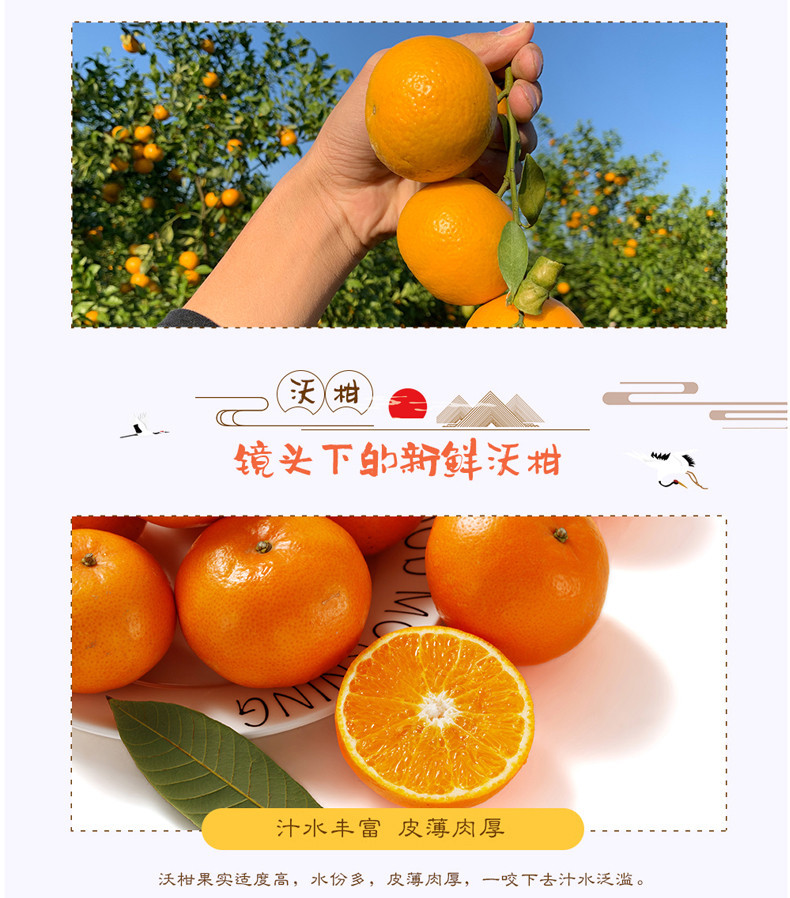 赣南脐橙和沃柑哪个好吃点(赣南脐橙和沃柑哪个好吃点呢)
